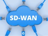 SD-WAN企业组网