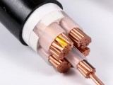 WDZ-YJY中低压低烟无卤铜芯电力电缆 3+2芯、3+1芯