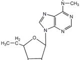 临床前动物实验 英瀚斯生物科技公司 上海动物实验