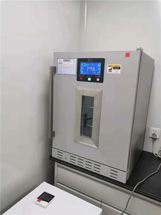 外敷中药包加热箱FYL-YS-431L（0-100℃)