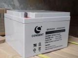 CONSENT光盛蓄电池GS12V24AH 工业储能电池