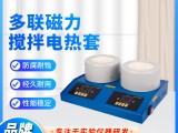 上海科升 智能数显电热套ZNCL-DLS磁力搅拌器加热套