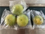 水果包装机脐橙百香果柠檬金桔全自动套袋机