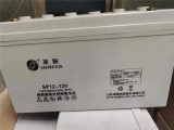 圣阳蓄电池12V120AH参数技术报价