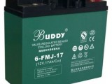 BUDDY宝迪6-FM-38/12V38AH蓄电池规格尺寸