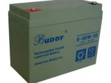 BUDDY宝迪蓄电池 6-FM-17 12V17AH 消防应急电源