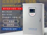 应急照明集中电源控制箱TY-D-0.6KVA厂家-科菲勒消防