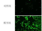 甘肃pcr 英瀚斯 pcr实验室