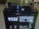 WESD蓄电池WD12-12 12V12AH门禁 UPS电源