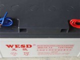 WESD蓄电池WD100-12 12V100AH参数规格