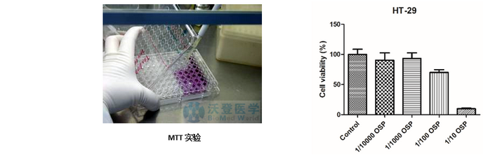 细胞实验外包 江苏细胞 英瀚斯