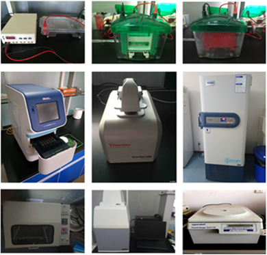 pcr 南京英瀚斯生物科技 pcr实验室