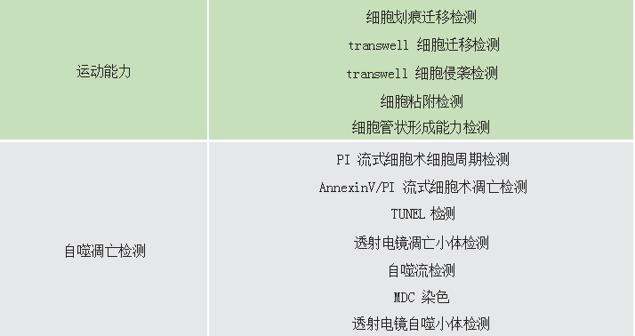 细胞培养 英瀚斯 泰州细胞