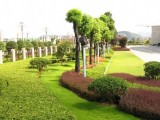 西安绿化工程，园林绿化施工，市政绿化施工，庭院绿化工程