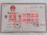 社会组织公益基金会设立