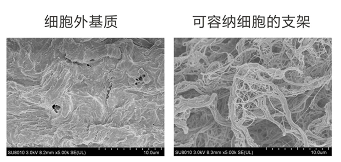 病理实验 南京英瀚斯生物科技 病理实验外包