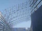 龙之翔煤棚网架工程 热电厂钢结构网架施工单位