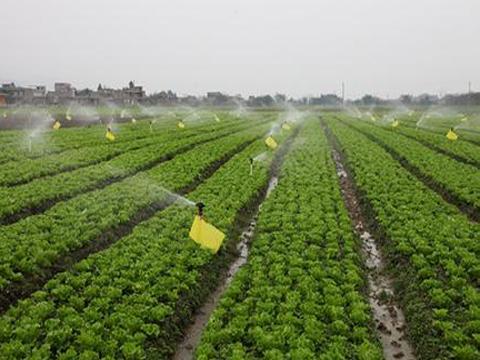 云南智能节水灌溉设备  武汉欣农科技